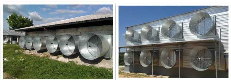 High Suppliers Volume Circulating Cooling Fans Poultry Farming Chicken Farm